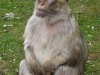 k-P1080904